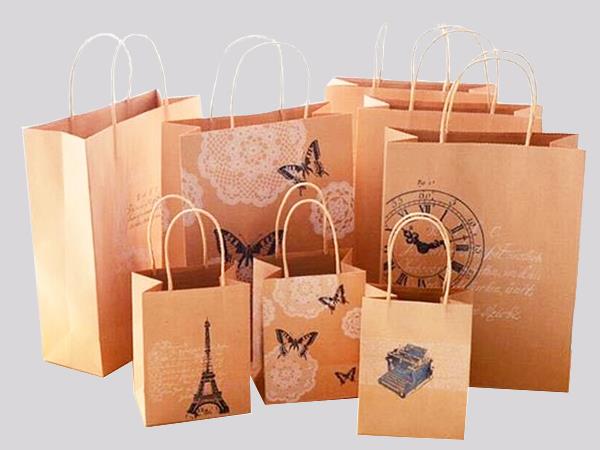 Paper Bag With Handle